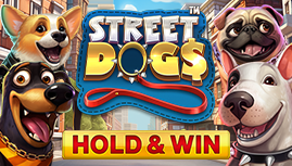 Street Dogs - Hold & Win