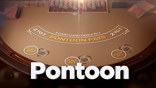 Pontoon 21